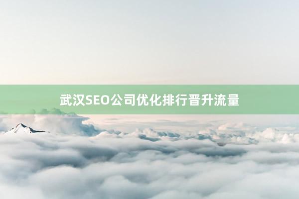 武汉SEO公司优化排行晋升流量